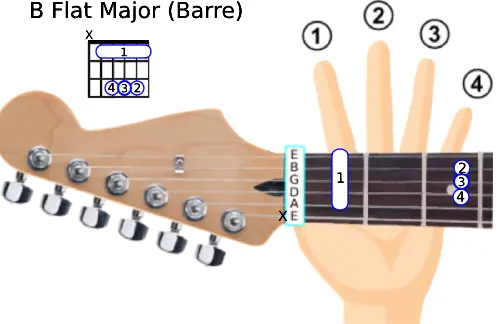 Image of the open B Flat Major chord.